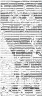 One piece Brook - AsciiArt - mini